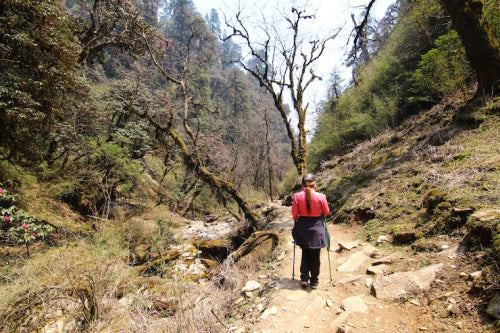 Trail Running Gains Popularity in India's Varied Landscapes